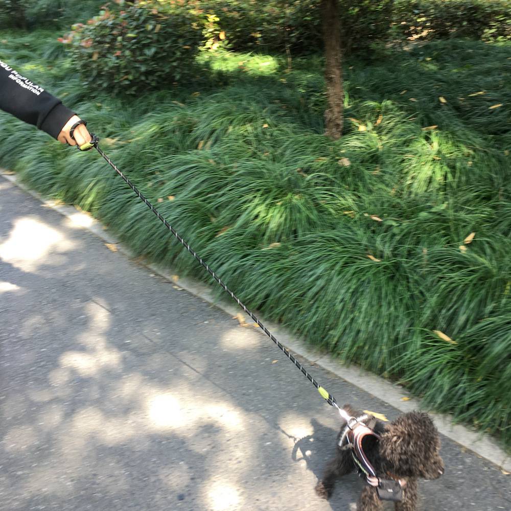 เชือกจูง - Image 7